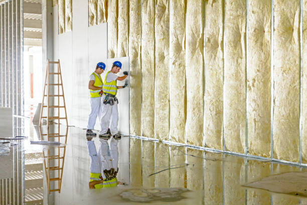 Types of Insulation We Offer in Dennison, OH